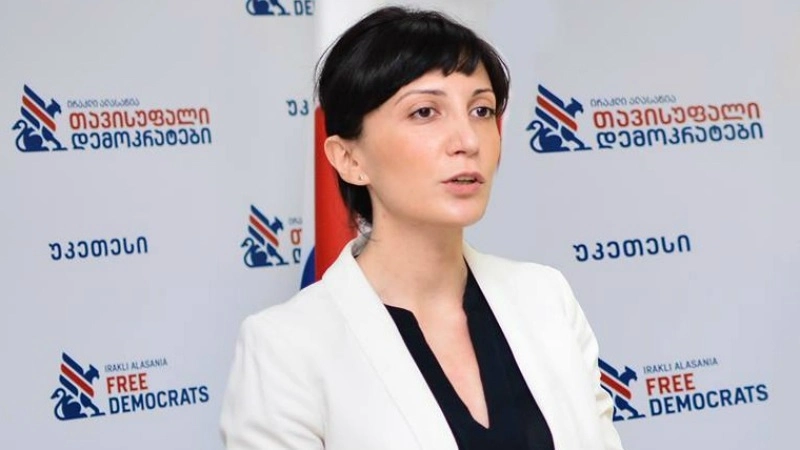დამრჩა შთაბეჭდილება, რომ ხელისუფლებამ სირიის მიერ საქართველოს ტერიტორიების აღიარება მედიიდან გაიგო - თამარ კეკენაძე