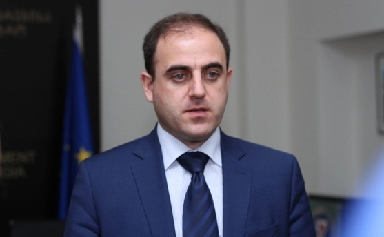 ნარმანია: შემოდგომაზე დედაქალაქის შემოგარენში 313 ათასი ფოთლოვანი და წიწვოვანი ხე დაირგვება