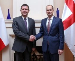  მიხეილ ჯანელიძე ჩეხეთის პარლამენტის დეპუტატთა პალატის პრეზიდენტს შეხვდა