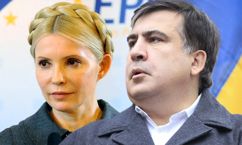 ოპოზიცია მოქმედებების საერთო გეგმაზე მუშაობს - იულია ტიმოშენკო