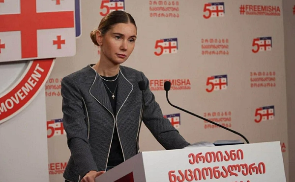 აშშ-ის წარმომადგენლებთან ერთსაათიანი შეხვედრიდან 45 წუთი კობახიძე სწორედ 607 მილიონ დოლარზე საუბრობდა, რომლის დაბრუნებაც ივანიშვილისთვის უმთავრესი ამოცანაა - თინა ბოკუჩავა