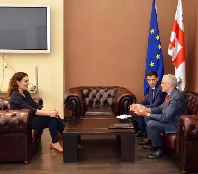 ქეთევან ციხელაშვილი გაეროს განვითარების პროგრამების ახალ ხელმძღვანელს შეხვდა