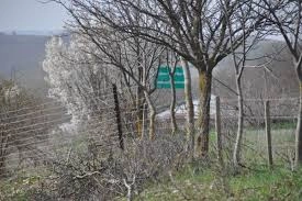 თინა ხიდაშელი: გაცილებით მეტისთვის ვიბრძვით, ვიდრე მხოლოდ MAP-ის მიღება