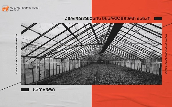 საქართველოს ბანკის ფინანსური მხარდაჭერით წალკაში სასათბურე მეურნეობა აშენდება