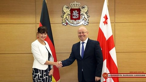 თავდაცვის მინისტრმა გერმანიის ელჩი მიიღო