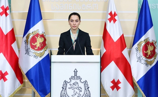 დიმიტრი ლორთქიფანიძის განცხადებაში მითითებული გარემოებების შესწავლა მიმდინარეობს - ნინო ცაციაშვილი