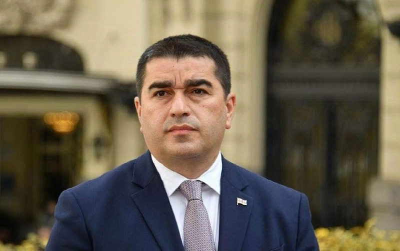 ევროპარლამენტში გუშინდელი დებატებისას აღარავინ უხსენებია, რომ თითქოს მიხეილ სააკაშვილი არის უკანონოდ დაკავებული - პაპუაშვილი