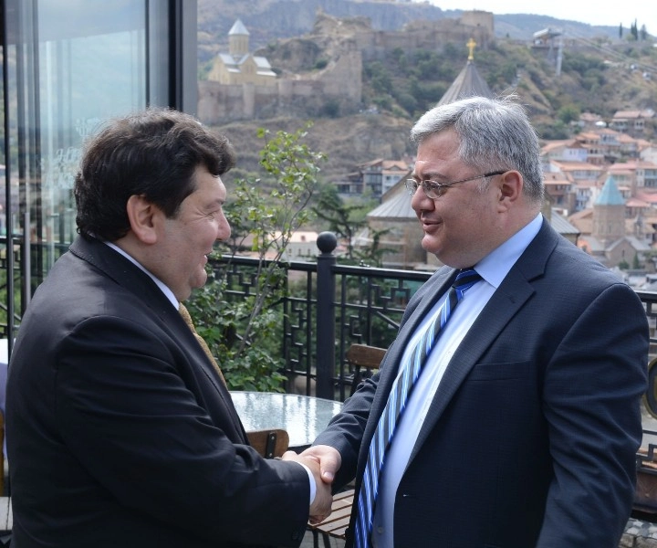 დავით უსუფაშვილი ევროპის საბჭოს საპარლამენტო ასამბლეის წინასაარჩევნო მისიის წევრებს შეხვდა