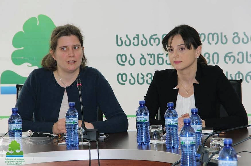 გარემოს დაცვის სამინისტროში, ჰიდროენერგო პროექტების გარემოზე კუმულატიური ზემოქმედების შეფასების სფეროში არსებულ ვითარებაზე იმსჯელეს
