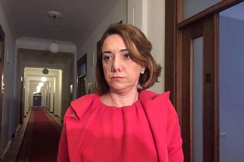  სამართლიანი და თავისუფალი არჩევნები განსაზღვრავს ჩვენი ქვეყნის ნატო-სთან თანამშრომლობის პერსპექტივას - სამადაშვილი