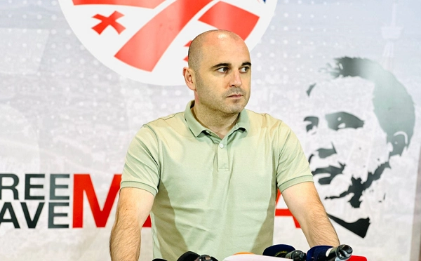 სამწუხარო რეალობაა, რომ პრეზიდენტი არ ართმევს ფარცხალაძეს მოქალაქეობას, აღნიშნული გადაწყვეტილებაც აჩვენებს, რომ ის აბსოლუტურად ჩართულია ბიძინა ივანიშვილის თამაშებში - ლევან ხაბეიშვილი