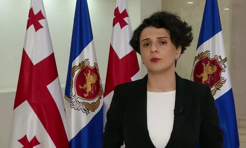 მავნე და არამავნე ნარკოტიკებზე მსჯელობა ახალისებს ნარკოდანაშაულს - ნათია მეზვრიშვილი