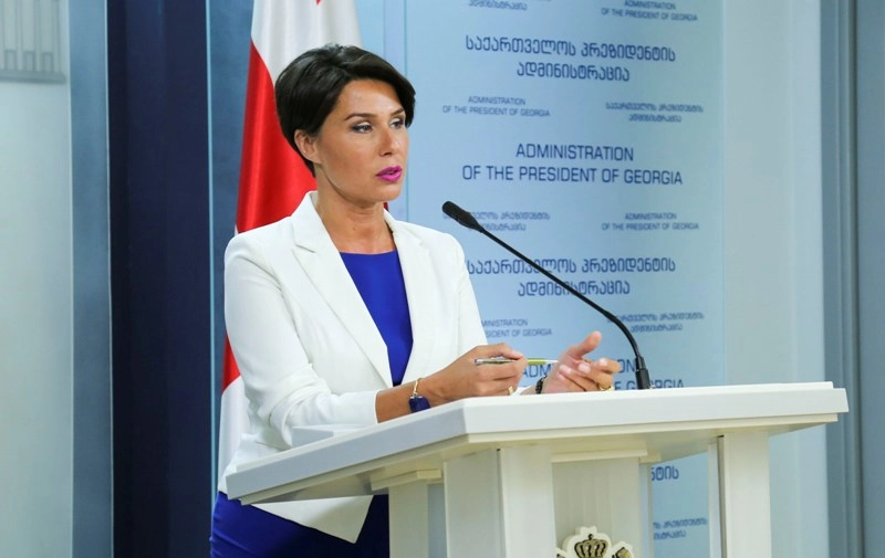 პრეზიდენტის პრესსპიკერის ეკა მიშველაძის ბრიფინგი მიმდინარე პოლიტიკურ საკითხებზე