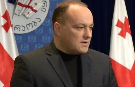 სანდრა რულოვსის ადგილს პარლამენტში გიორგი ღვინიაშვილი დაიკავებს