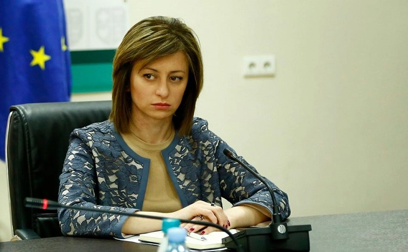პიკურ სტადიას შეიძლება ველოდეთ აპრილის მეორე ნახევრიდან - ეკატერინე ტიკარაძე