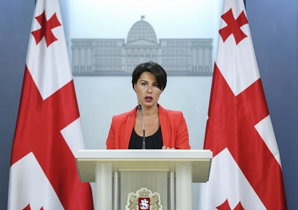 პრეზიდენტის ადმინისტრაციის ბიუჯეტი მაქსიმალურად მორგებულია ადმინისტრაციის საჭიროებებზე - ეკა მიშველაძე