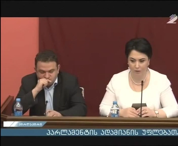 გედევან ფოფხაძე და ეკა ბესელია საქართველოში აკრედიტებულ დიპლომატიურ კორპუსს მიმართავენ