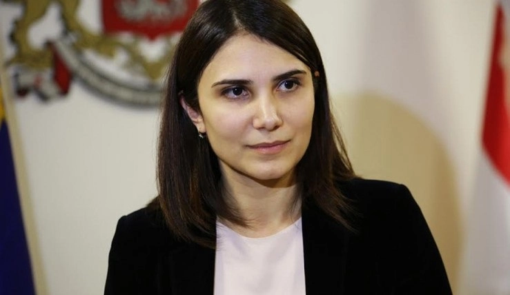 გერმანიის ელჩმა გააკეთა განცხადება პირდაპირ პარლამენტიდან, დანარჩენი ელჩები ხაზზე იყვნენ მთელი ღამის განმავლობაში - ნინო ჯავახაძე