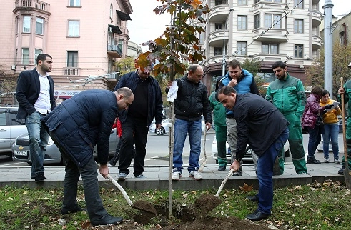 ვახუშტის ხიდთან 600 ნერგი და ფილარმონიასთან 6 ზრდასრული ხე დაირგო