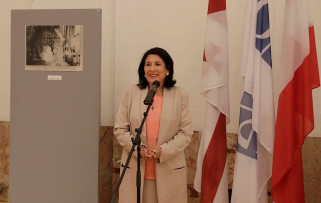 სალომე ზურაბიშვილი ეუთო-ს წევრი ქვეყნების ქალ ელჩებს შეხვდა 