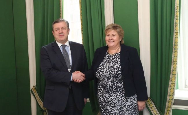საქართველოსა და ნორვეგიის სამეფოს შორის პოლიტიკური, ეკონომიკური და კულტურული თანამშრომლობის გაძლიერების პერსპექტივები განიხილეს 