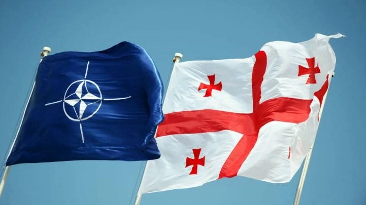 ნატო-საქართველოს ერთობლივი წვრთნები 2019 წლის მარტშია დაგეგმილი