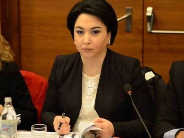  იურიდიულმა კომიტეტმა ეკა ბესელიას კანონპრექტი ჩააგდო
