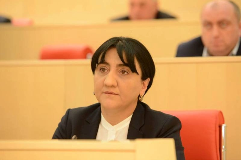 17 სექტემბრიდან „პატრიოტთა ალიანსი“ საპროტესტო აქციებს იწყებს