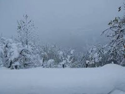 დიდთოვლობის გამო ხულოსა და შუახევის რაიონები ელექტროენერგიის გარეშეა დარჩენილი