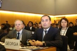 დიმიტრი ქუმსიაშვილი ლონდონში საერთაშორისო საზღვაო ორგანიზაციის ასამბლეის 29-ე სესიაში მონაწილეობს