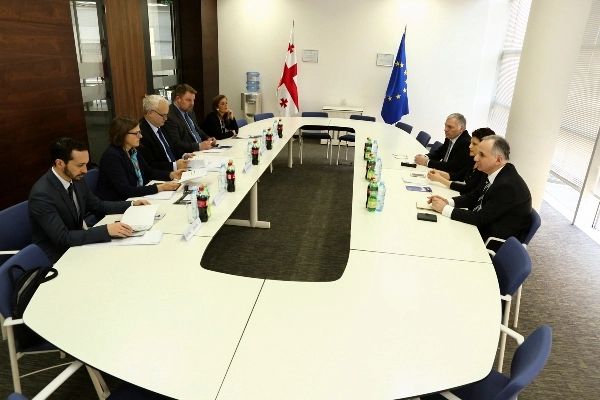 თეა წულუკიანმა ევროპარლამენტის დელეგაცია მიიღო