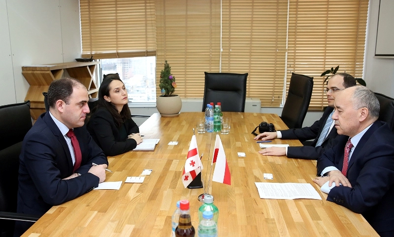 დავით ნარმანია პოლონეთის ელჩს შეხვდა