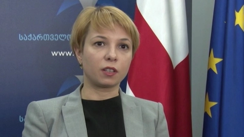 მძევლის პოლიტიკურ კუთვნილებაზე აქცენტირება ძალიან სახიფათოა - ნინო ლომჯარია