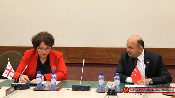 თინათინ ხიდაშელი თავდაცვის მინისტერიალზე