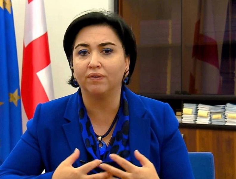 ფაქტობრივად, პრეზიდენტმა უკვე თქვა, რომ აპირებს ვეტოს დადებას - ეკა ბესელია