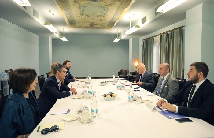 პრემიერი ატლანტიკური საბჭოს აღმასრულებელ ვიცე პრეზიდენტს შეხვდა