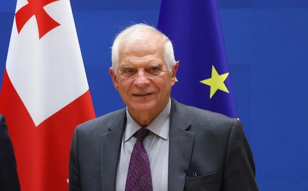 კარი ღიაა, შესასვლელად რა უნდა გაკეთდეს, იცით, ეს არის დამსახურებაზე დაფუძნებული პროცესი - ჯოზეფ ბორელი