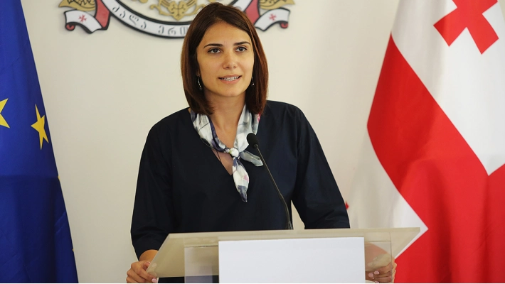 10:00 საათის მდგომარეობით, არჩევნები მშვიდ ვითარებაში მიმდინარეობს - ნინო ჯავახაძე