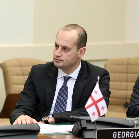 მიხეილ ჯანელიძე: საქართველოს ტერიტორიების ოკუპაციის საკითხი საერთაშორისო საზოგადოების დღის წესრიგშია