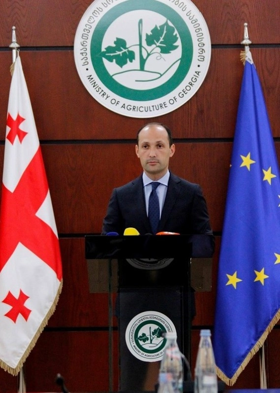 ეს არის ლოგიკური ცვლილება და ევროპული გამოცდილების გაზიარება - ლევან დავითაშვილი