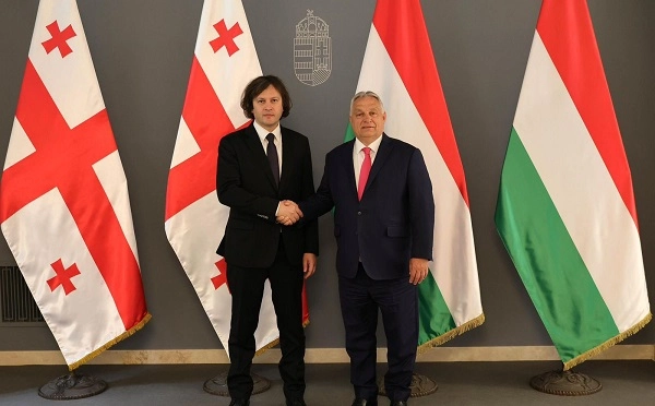 ირაკლი კობახიძე არის საქართველოს გმირი - ვიქტორ ორბანი