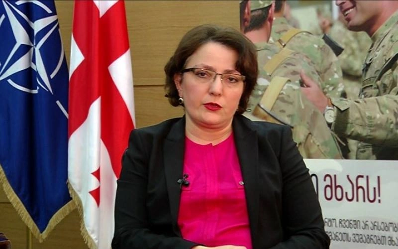 თინათინ ხიდაშელი: არავითარი პრობლემა პანკისში არ არსებობს