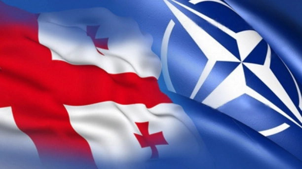 ელიოტ ენჯელი: შეცდომა იყო ის, რომ 2008 წელს ნატომ საქართველო და უკრაინა თავის რიგებში არ მიიღო