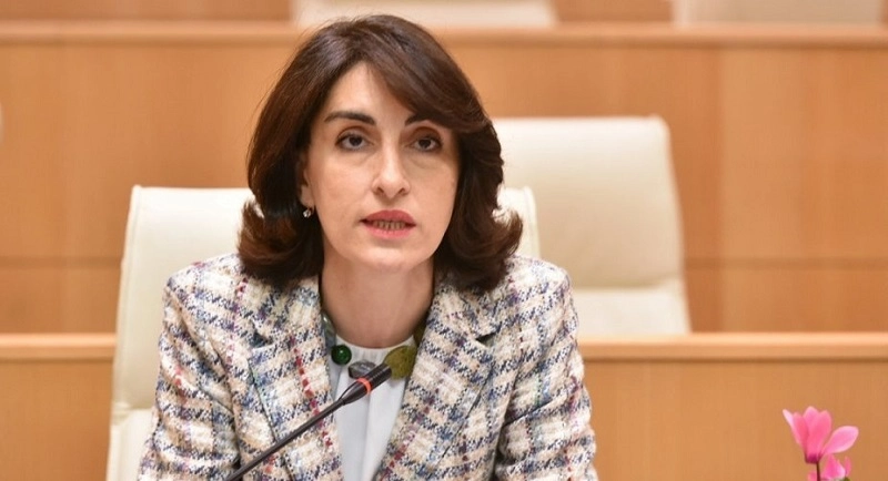 საქართველოს უსაფრთხოებისთვის ამერიკასთან და ევროკავშირთან ჩვენი ურთიერთობები მნიშვნელოვანია და ამ ურთიერთობებს განსაკუთრებულად უნდა გავუფრთხილდეთ - მაკა ბოჭორიშვილი