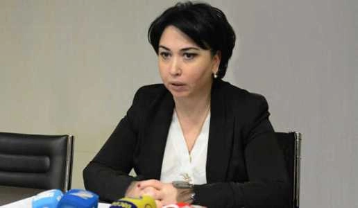ეკა ბესელია: ამერიკელი კონგრესმენის მოთხოვნა არასერიოზული და არარეალურია