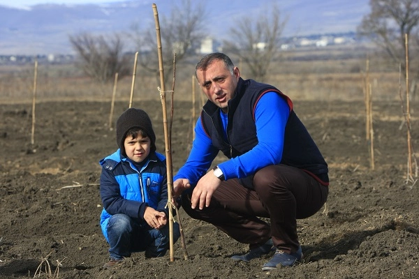 პროგრამა „დანერგე მომავალი“ კახეთის რეგიონში  აქტიურად მიმდინარეობს