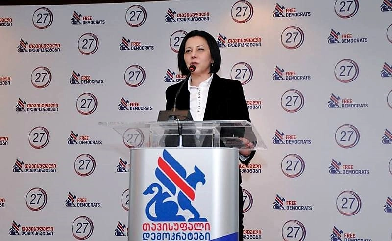 ხელისუფლება მზად არის დაარღვიოს თითოეული ადამიანის უფლება და ღირსება - ნინო გოგუაძე