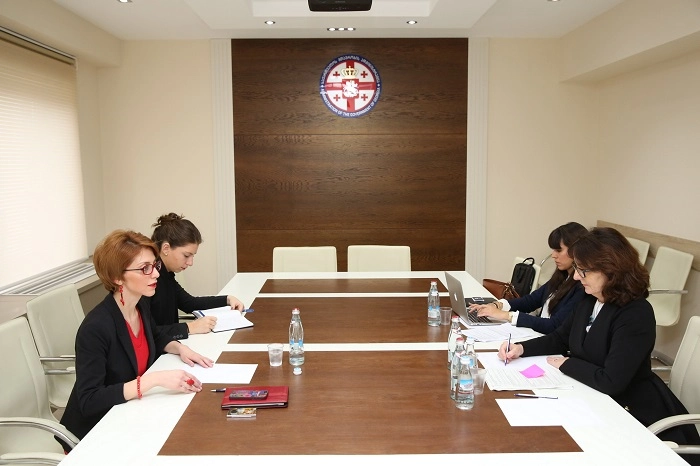 სოფო ჯაფარიძე ქალთა მიმართ ძალადობის, ძალადობის მიზეზებისა და შედეგების შესახებ გაერო-ს სპეციალურ მომხსენებლს შეხვდა