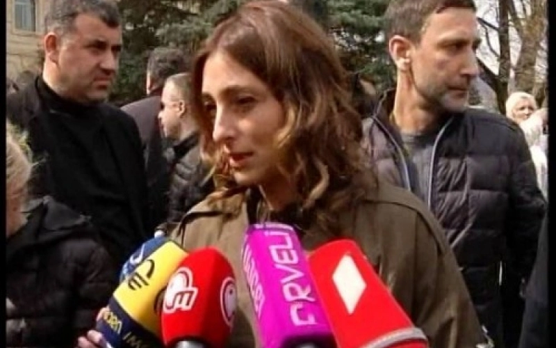 არ მესმის, რა მიიღეს ამით დაზარალებულებმა, მე მგონია უფრო დაზარალდნენ - ნინო დარასელი