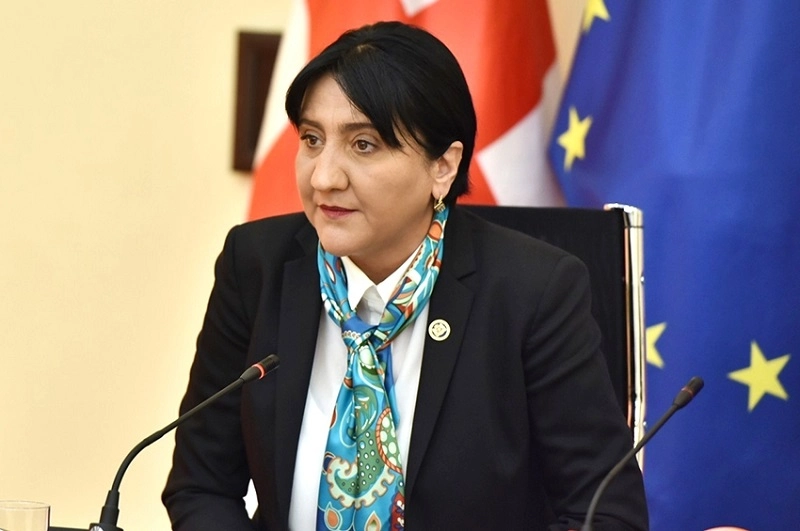 სამართლიანი იქნება, იმუნიტეტის მოხსნა ბოკერიადან დაიწყოს - ირმა ინაშვილი 